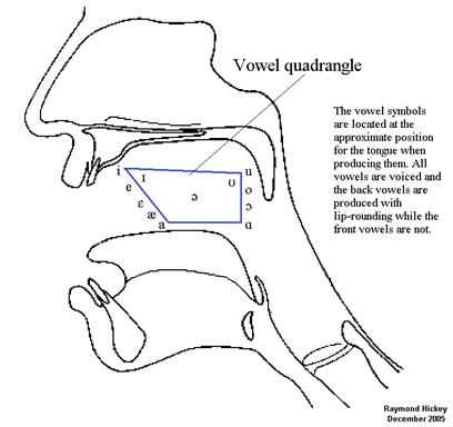 13 Vs   American English Vowel Quad Inside Mouth 